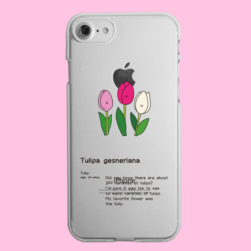 [젤리]Tulipa 핑크